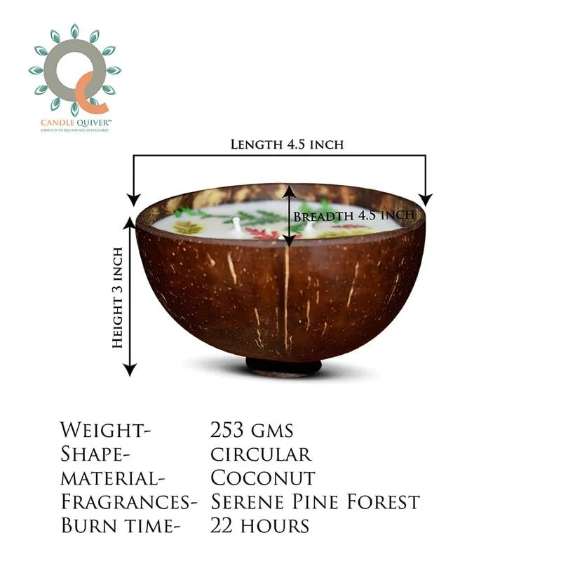 Candle Quiver Serene Pine Forest Scented Candles for Home Decor & Gifting -22 Hours Burn Time Fragrance Candles for Home