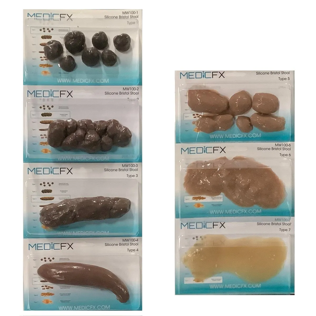 Realistic Bristol Silicone Stool Chart for Medical Training and Examination