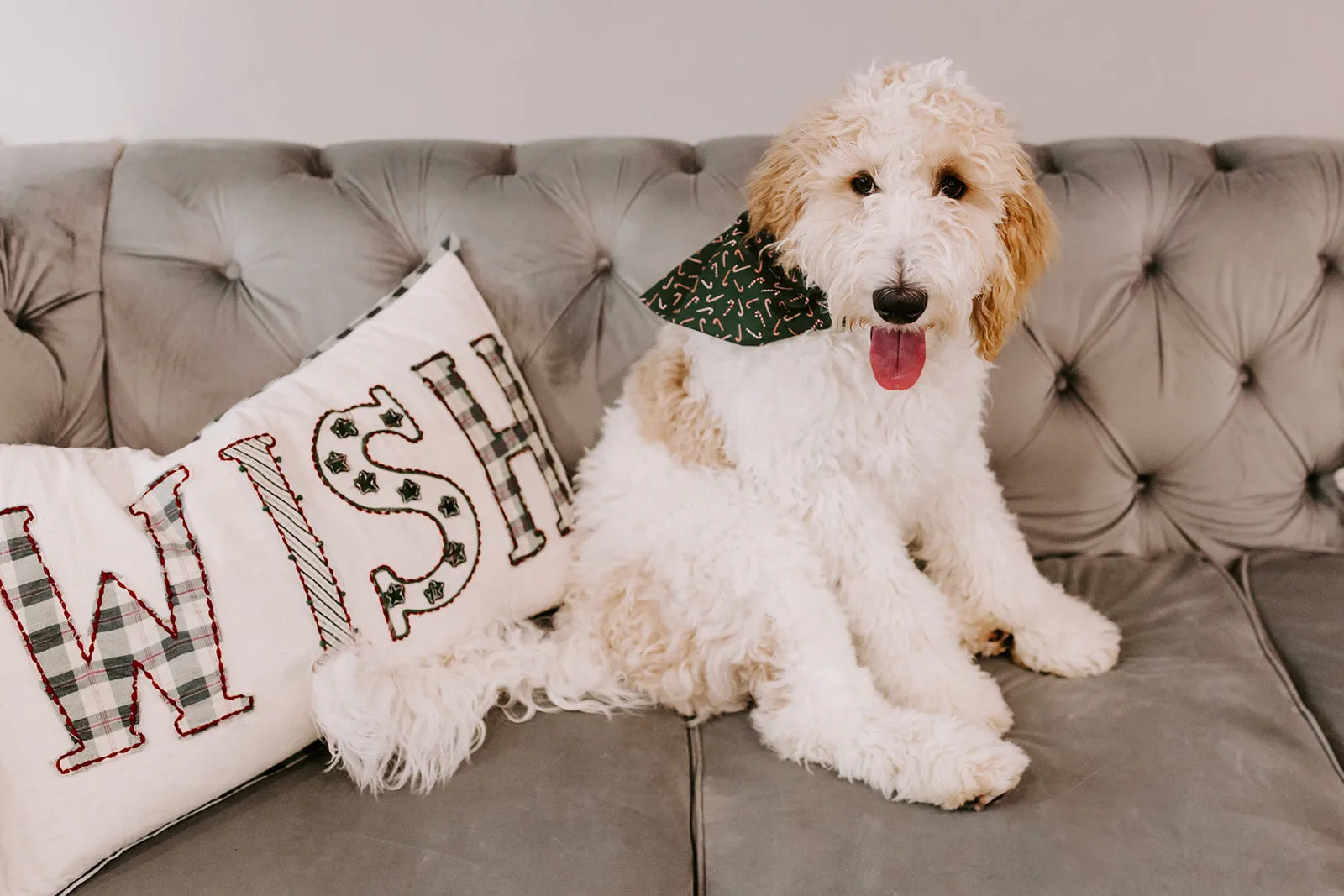 Red & Green Candy Cane Christmas Dog Bandana or Cat Bandana