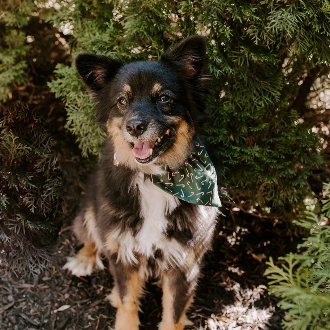 Red & Green Candy Cane Christmas Dog Bandana or Cat Bandana