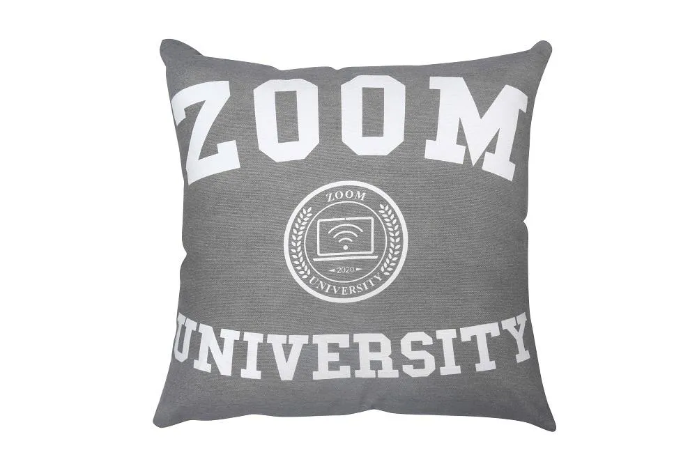 Zoom University Cushion